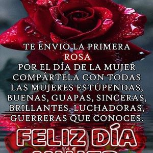 Meet your Posher, Rojas